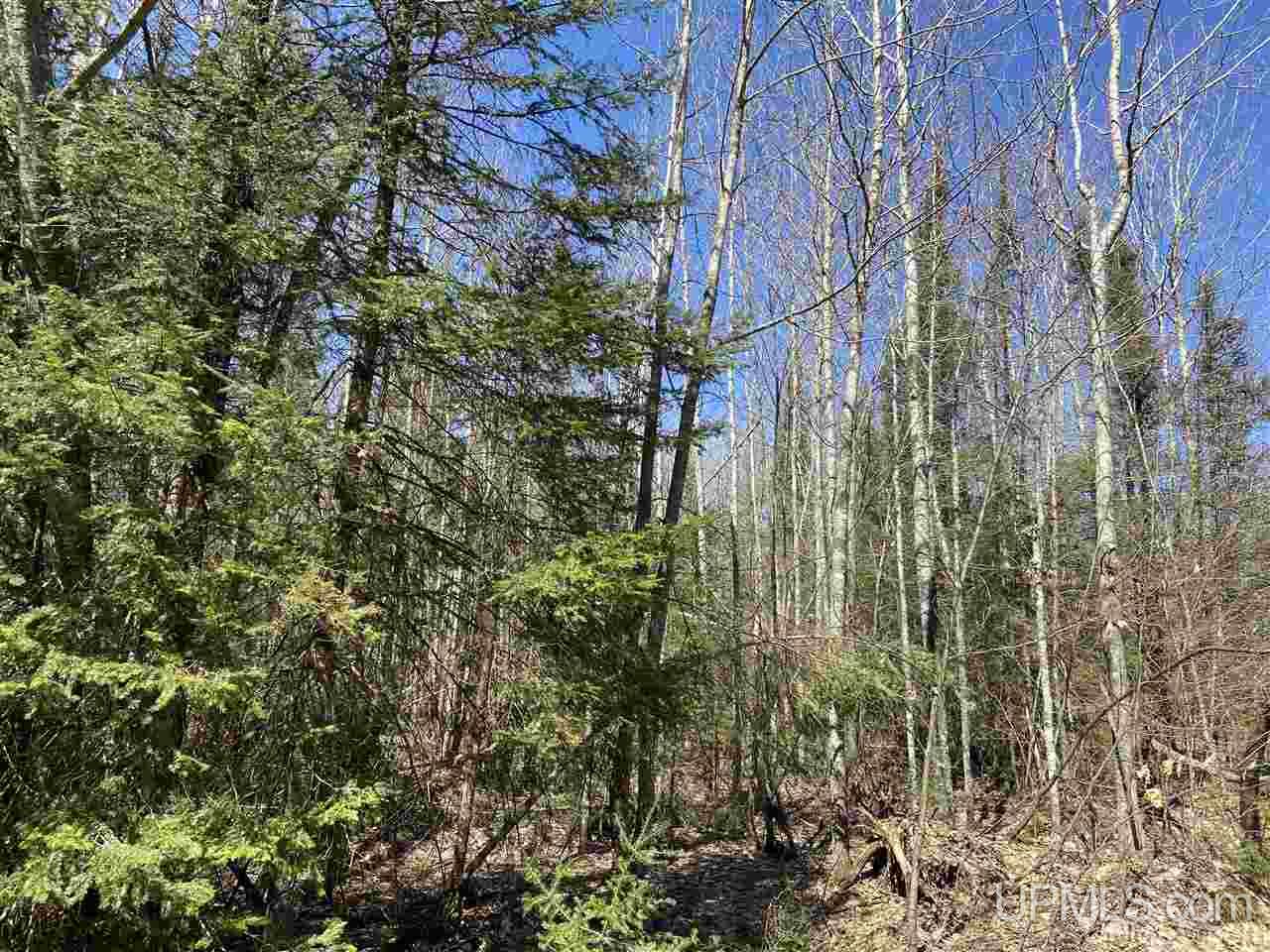 Tbd Tbd Off Powerline Gwinn, MI 49841 - Photo 23 of 28