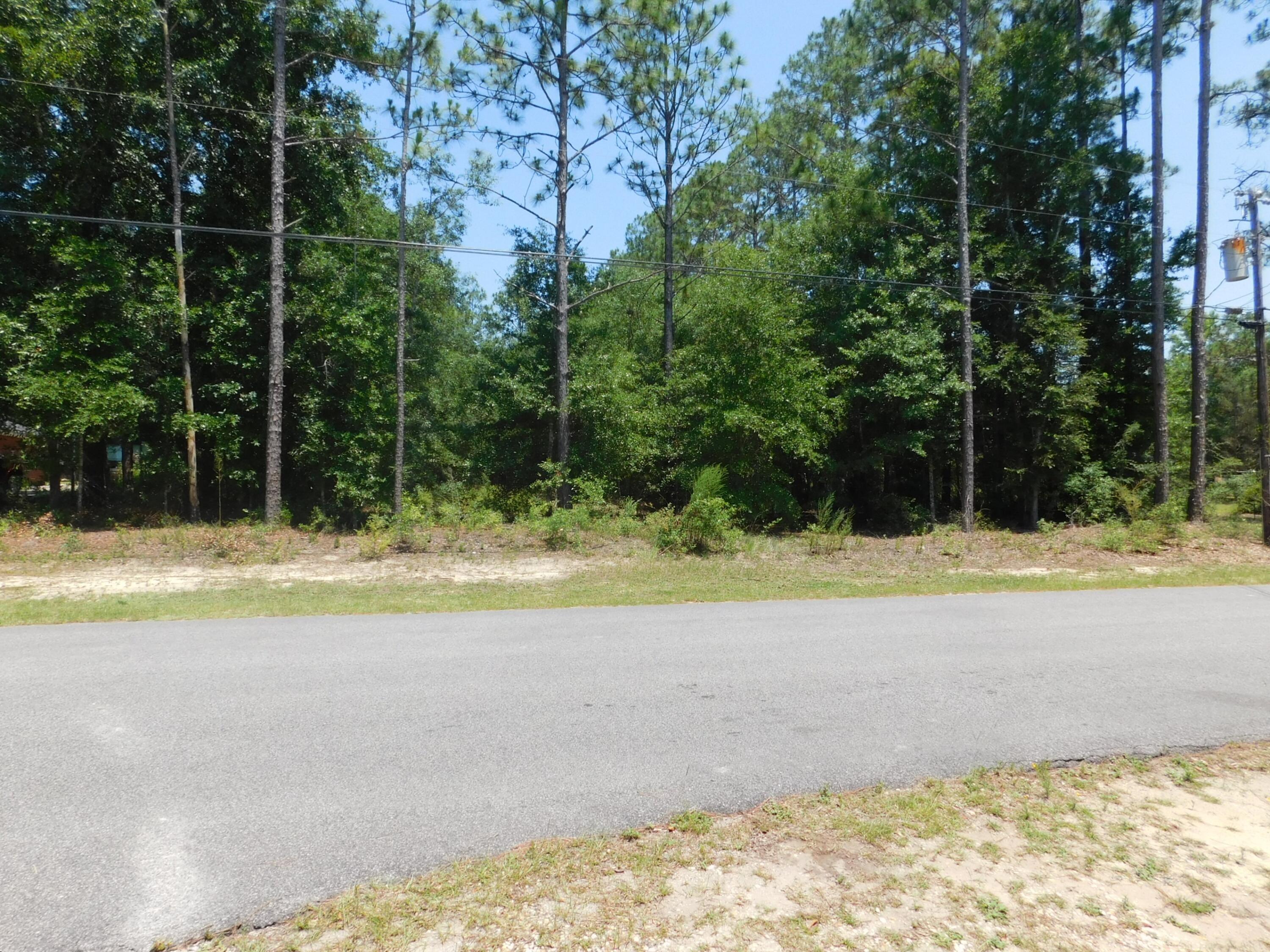89-acres Monterrey Road Crestview, FL 32539 - Photo 2 of 7 Gallery Image 2