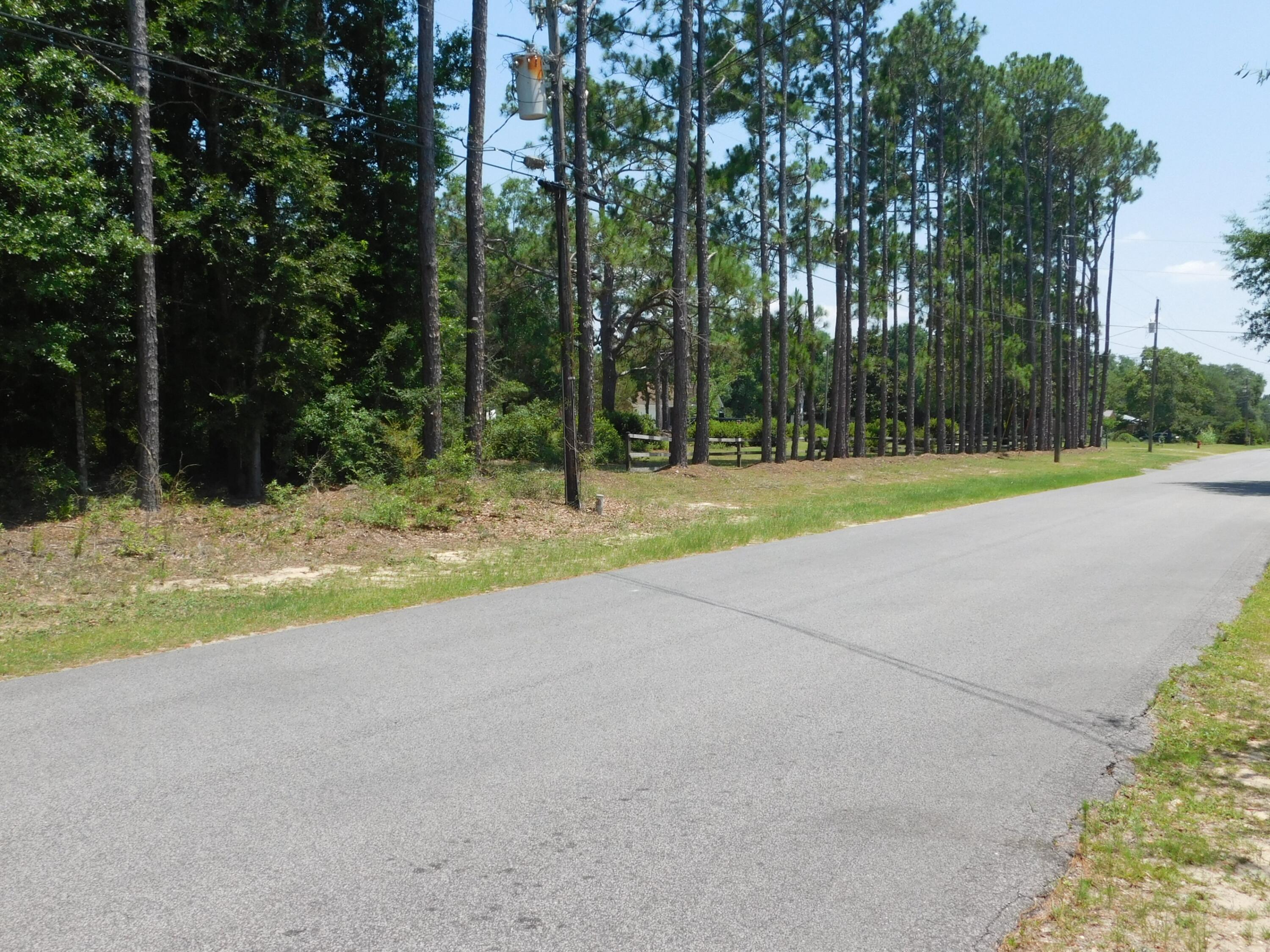 89-acres Monterrey Road Crestview, FL 32539 - Photo 3 of 7 Gallery Image 3