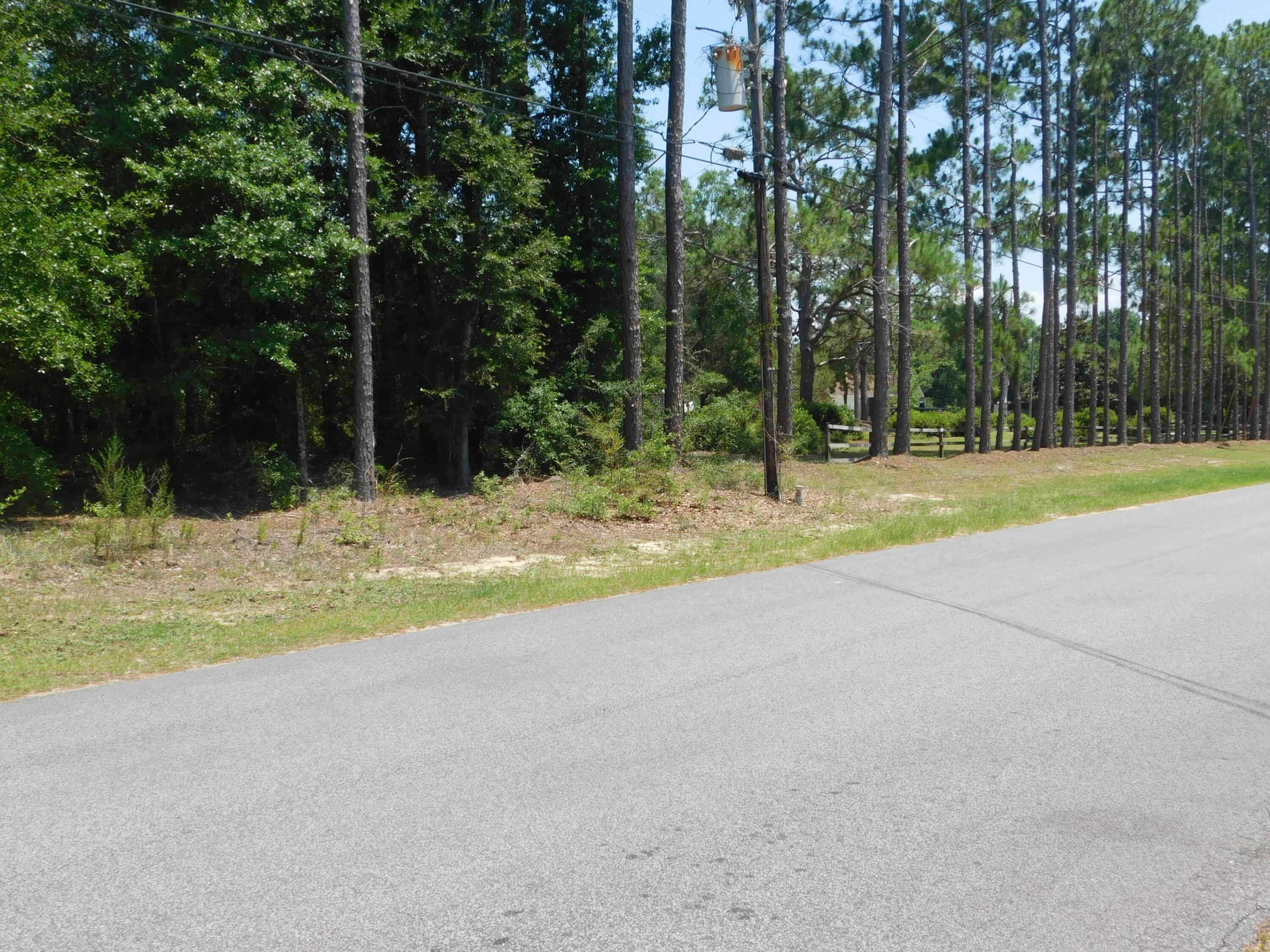 89-acres Monterrey Road Crestview, FL 32539 - Photo 4 of 7 Gallery Image 4