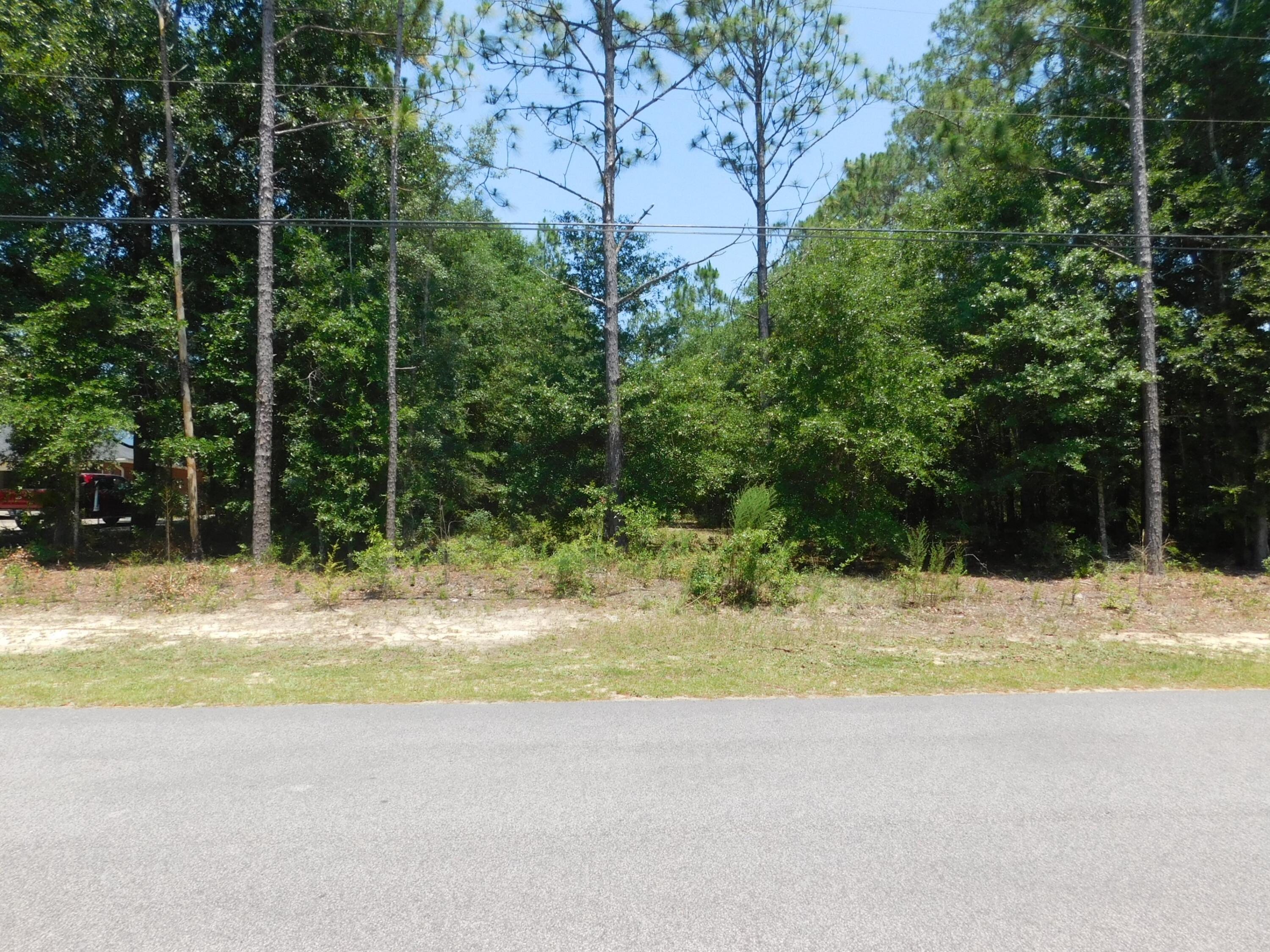 89-acres Monterrey Road Crestview, FL 32539 - Photo 5 of 7 Gallery Image 5