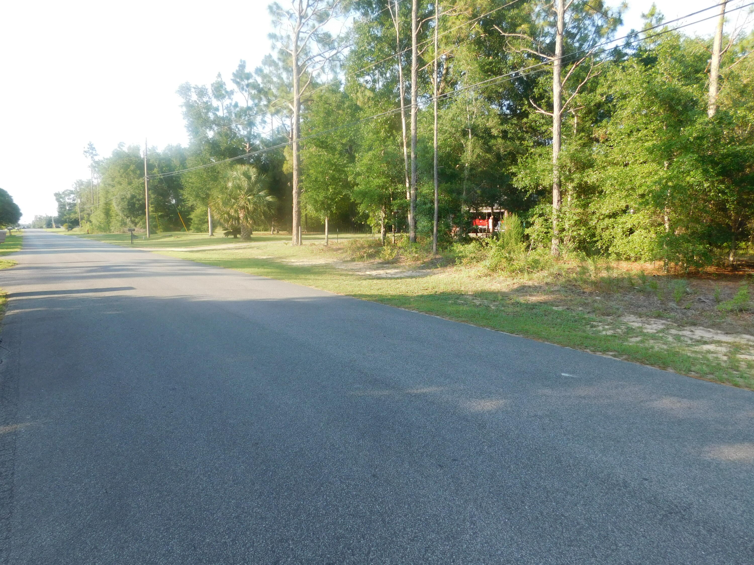 89-acres Monterrey Road Crestview, FL 32539 - Photo 6 of 7 Gallery Image 6