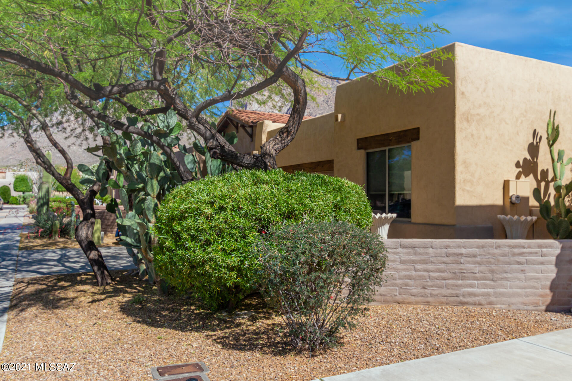 180 East Spring Sky Street Tucson, AZ 85737 - Photo 2 of 27