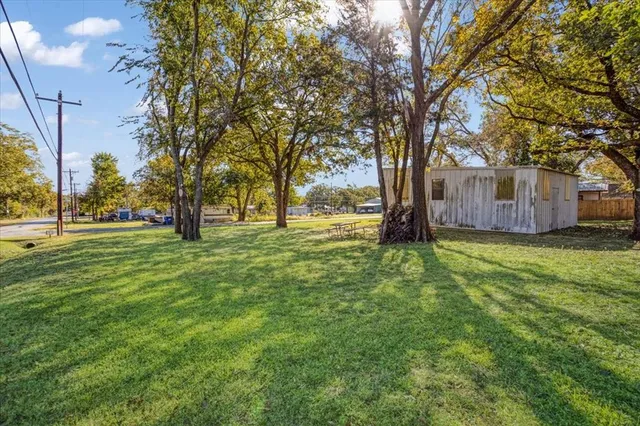 a view of yard with tree s