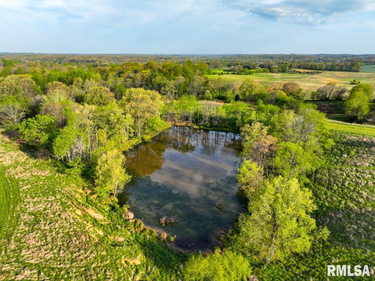 0 Goodman Pond Road Dongola, IL 62926 - Photo 22 of 72 Gallery Image 22