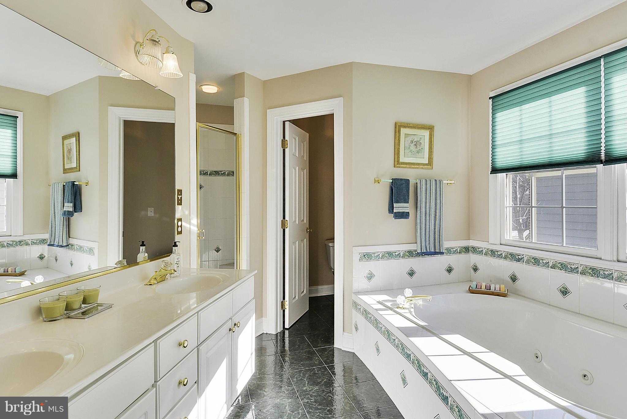 326 Tschiffely Square Road Gaithersburg, MD 20878 - Photo 16 of 30 Bath (Master)