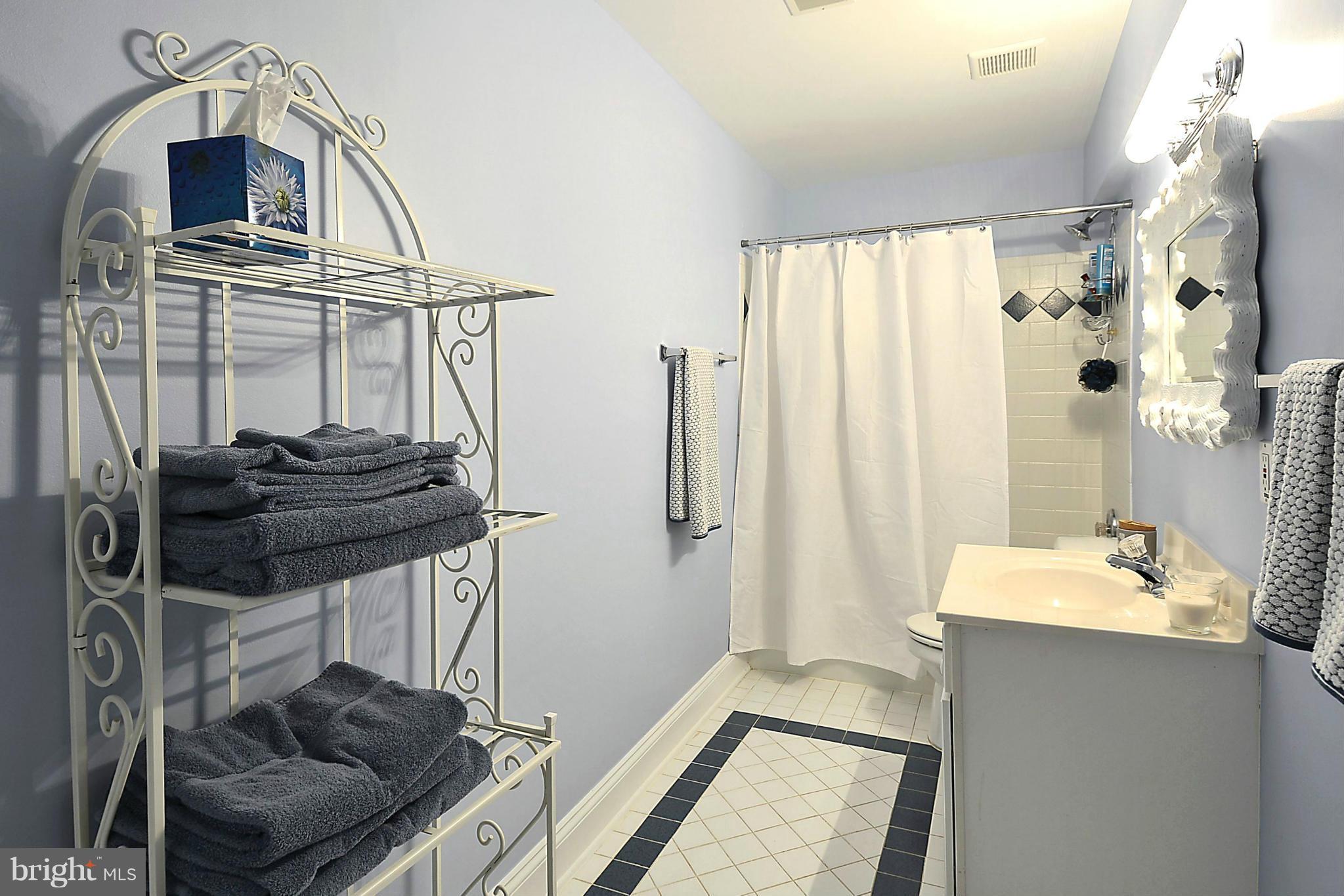 326 Tschiffely Square Road Gaithersburg, MD 20878 - Photo 24 of 30 Lower Level Full Bath