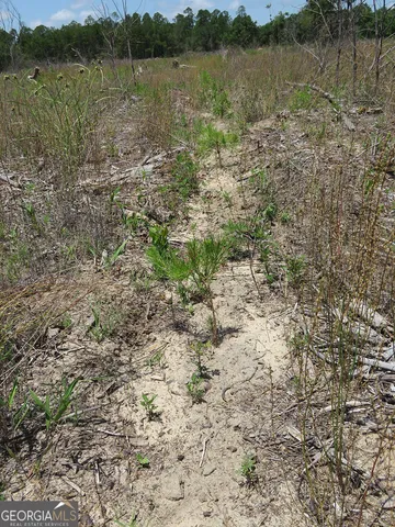 a view of a lake with houses in the background