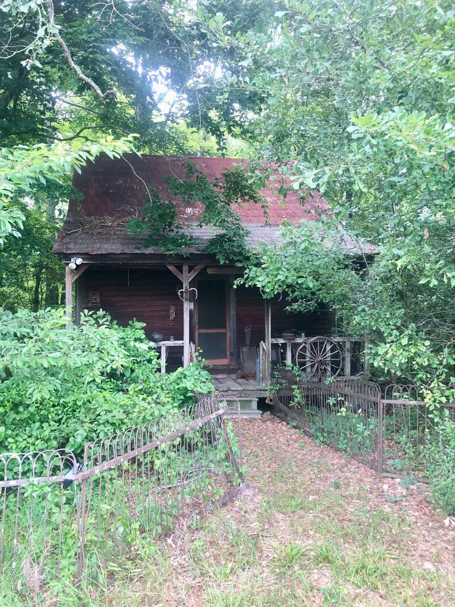 Tbd Ridgeview Lake Road Ridge Spring, SC 29129 - Photo 4 of 11