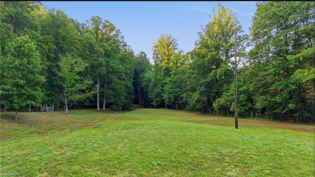 11526 Highway 421 Purlear, NC 28665 - Photo 30 of 45