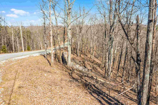 a view of wooden fence and trees