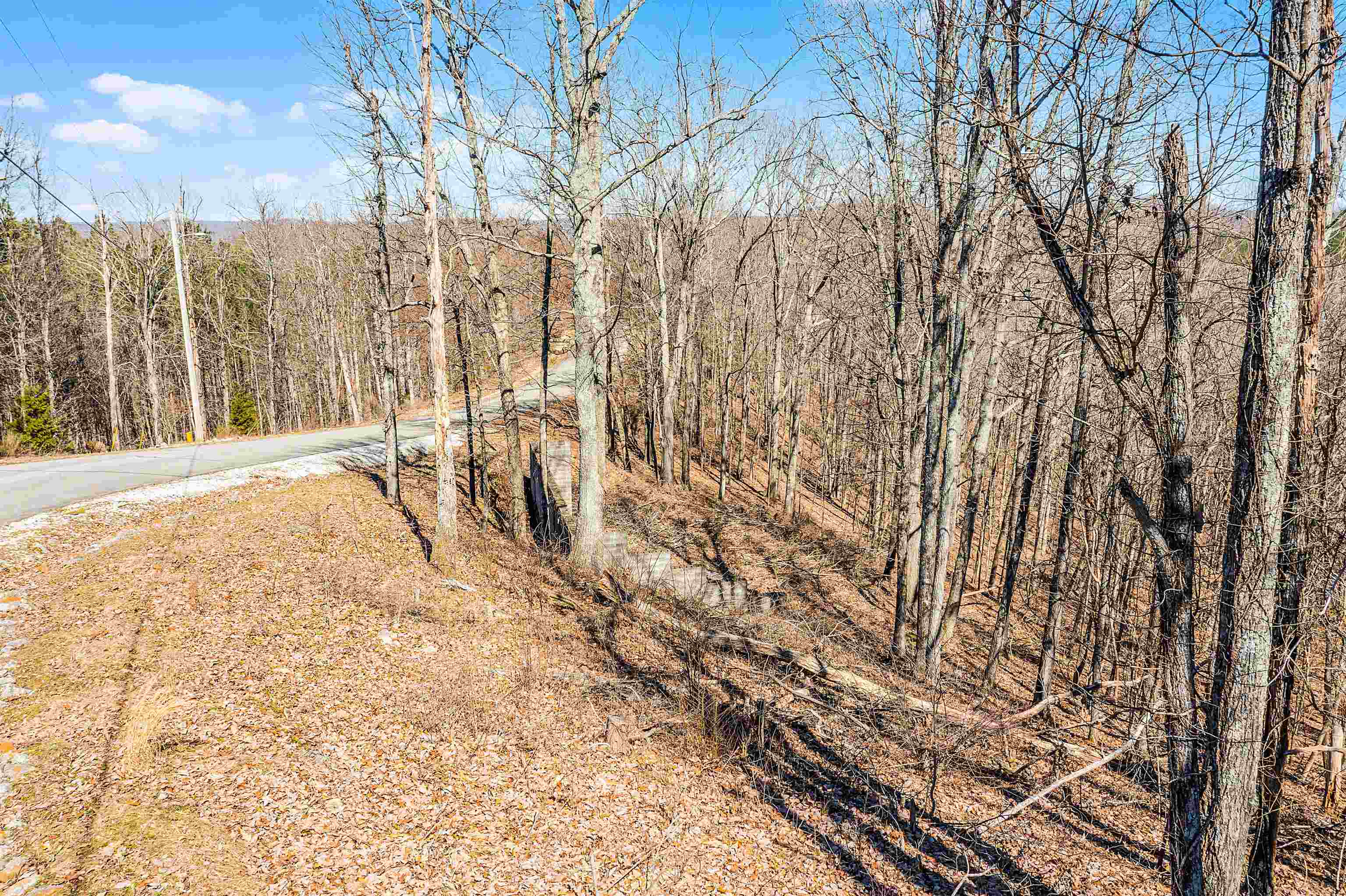 37 Eagle Point Drive Cherokee, AL 35616 - Photo 1 of 5 a view of wooden fence and trees