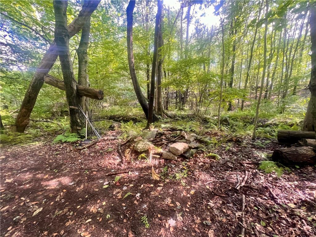 281 Buchanan Road Normalville, PA 15469 - Photo 24 of 29
