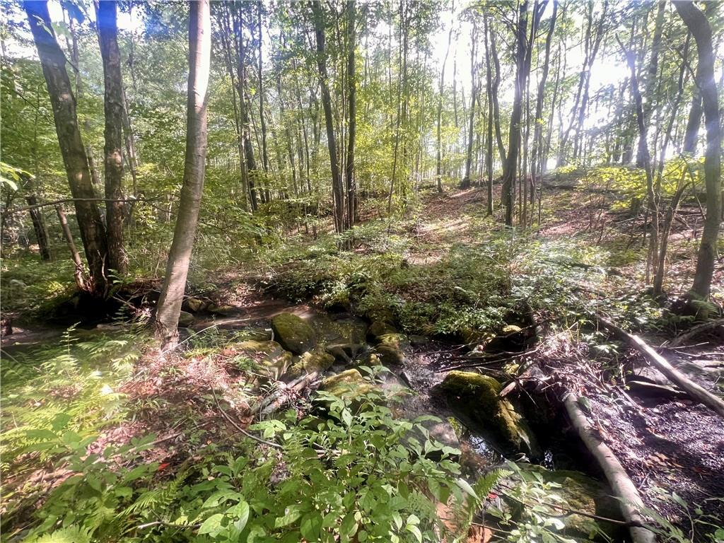 281 Buchanan Road Normalville, PA 15469 - Photo 29 of 29