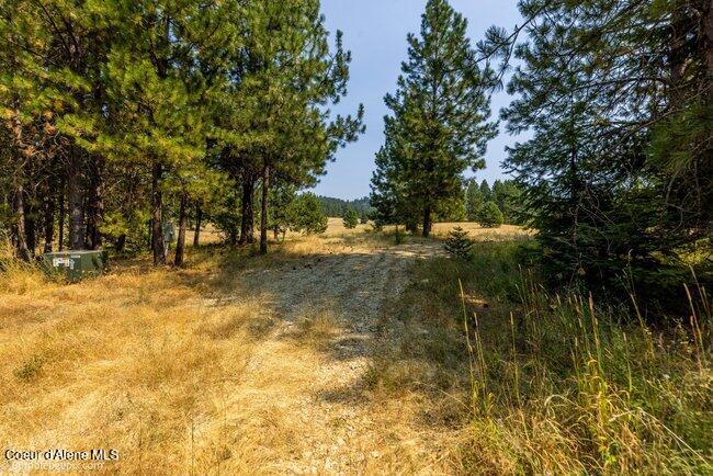 13534 South Ridgeview Drive Harrison, ID 83833 - Photo 26 of 70 028_bb193731-28_324