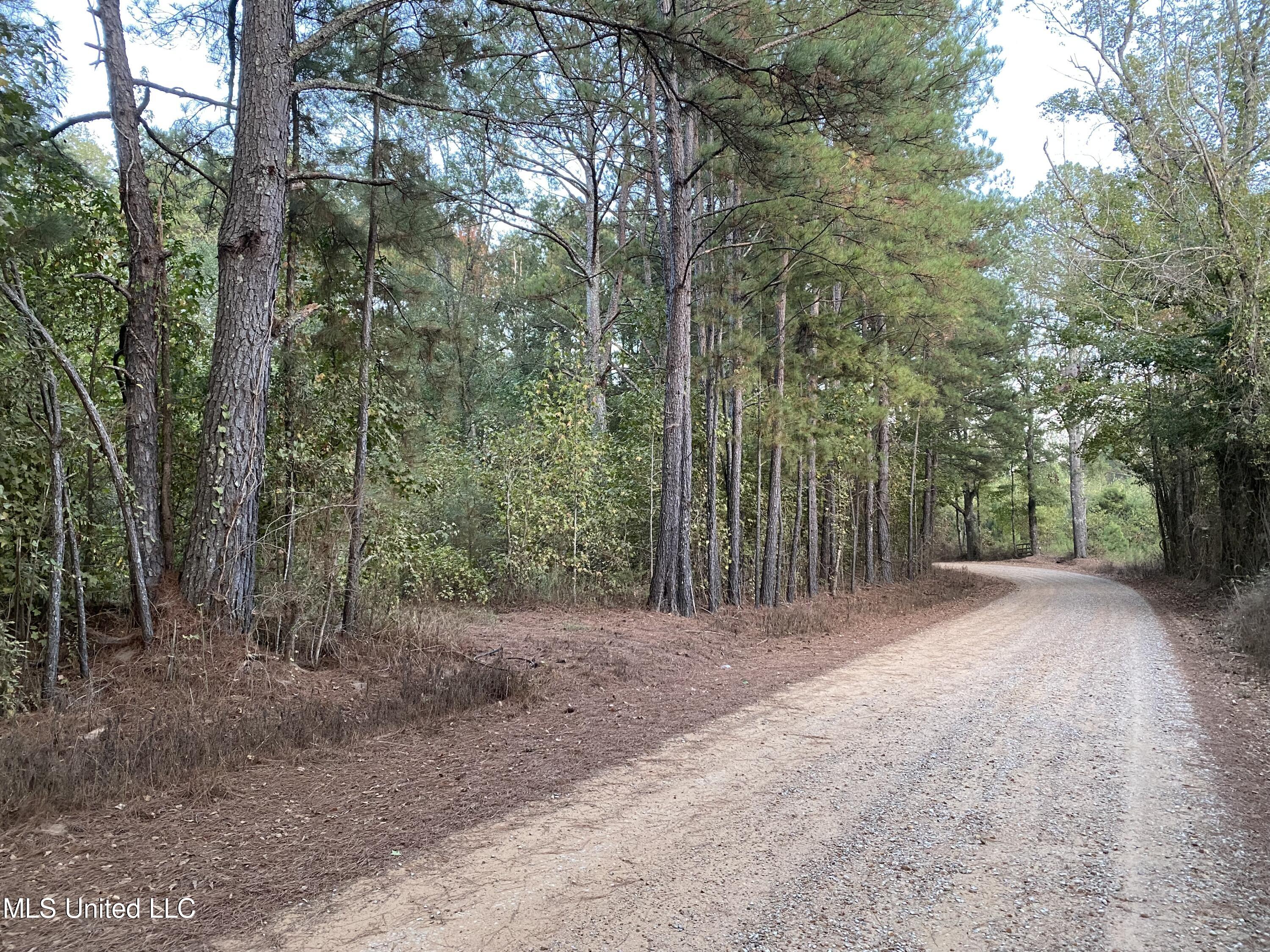 Kerr Road Carthage, MS 39051 - Photo 1 of 4 IMG_5067