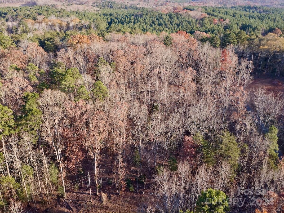 176 Suwanne Road Troy, NC 27371 - Photo 1 of 35 Gallery Image 1