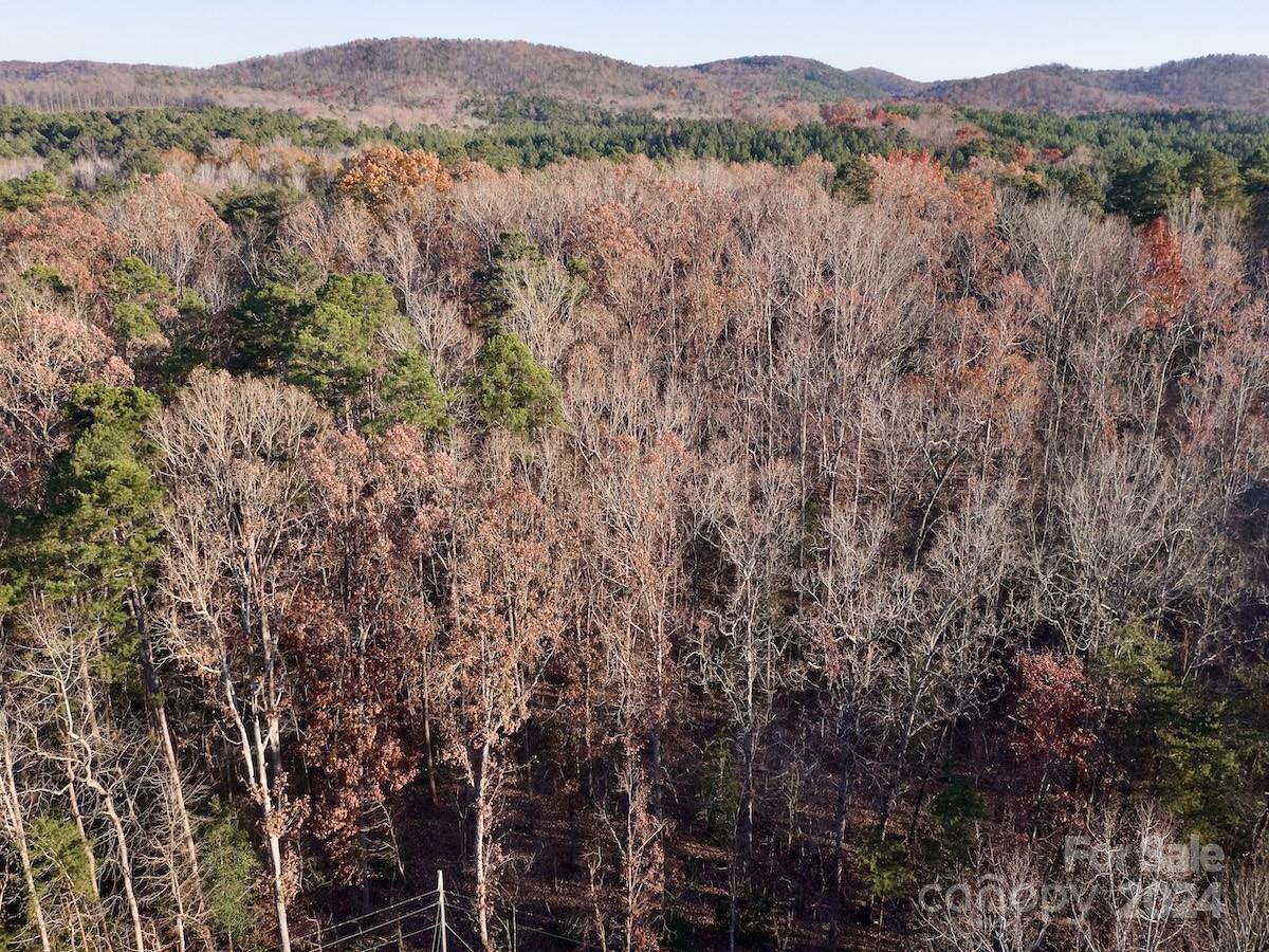 176 Suwanne Road Troy, NC 27371 - Photo 13 of 35 Gallery Image 13