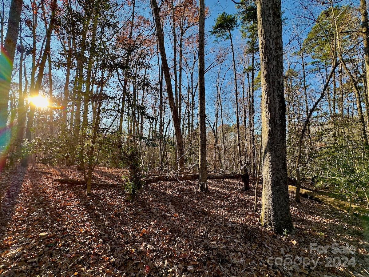 176 Suwanne Road Troy, NC 27371 - Photo 16 of 35 Gallery Image 16
