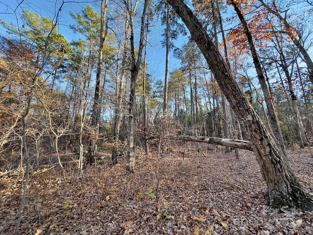 176 Suwanne Road Troy, NC 27371 - Photo 17 of 35 Gallery Image 17