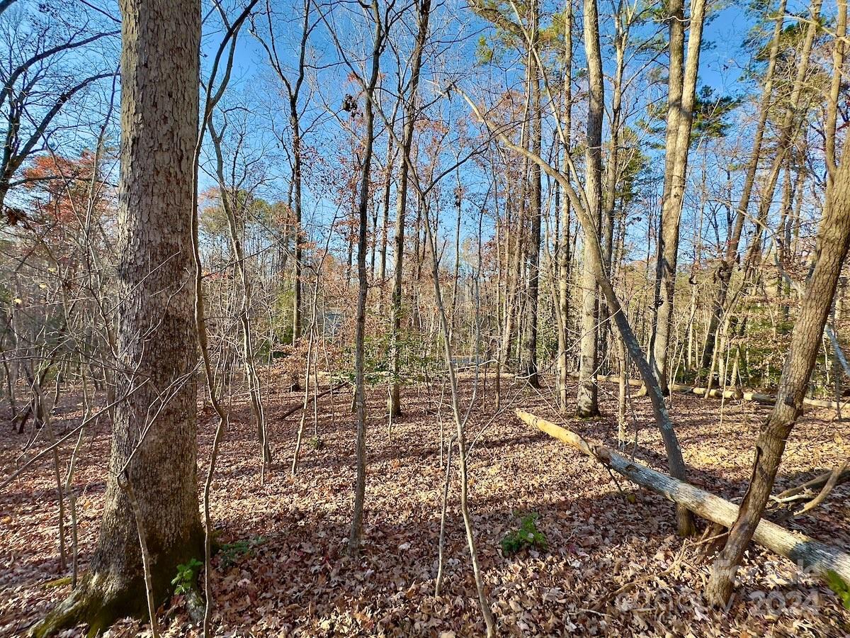 176 Suwanne Road Troy, NC 27371 - Photo 20 of 35 Gallery Image 20