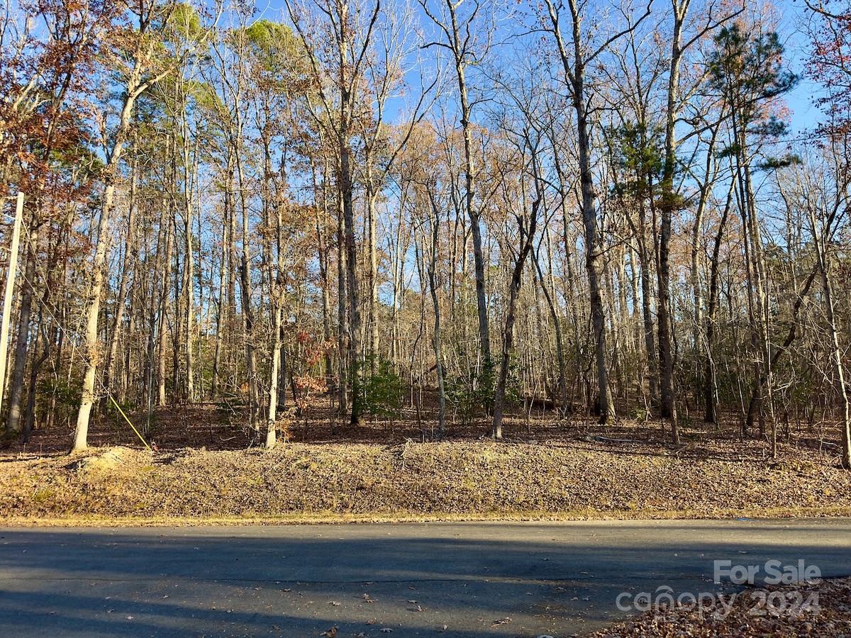 176 Suwanne Road Troy, NC 27371 - Photo 2 of 35 Gallery Image 2