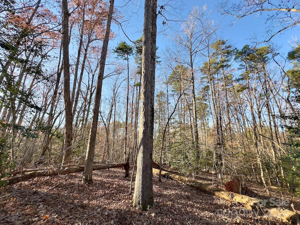 176 Suwanne Road Troy, NC 27371 - Photo 21 of 35 Gallery Image 21