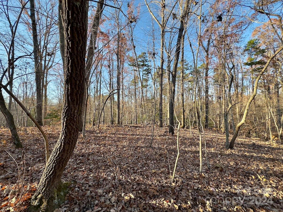 176 Suwanne Road Troy, NC 27371 - Photo 25 of 35 Gallery Image 25