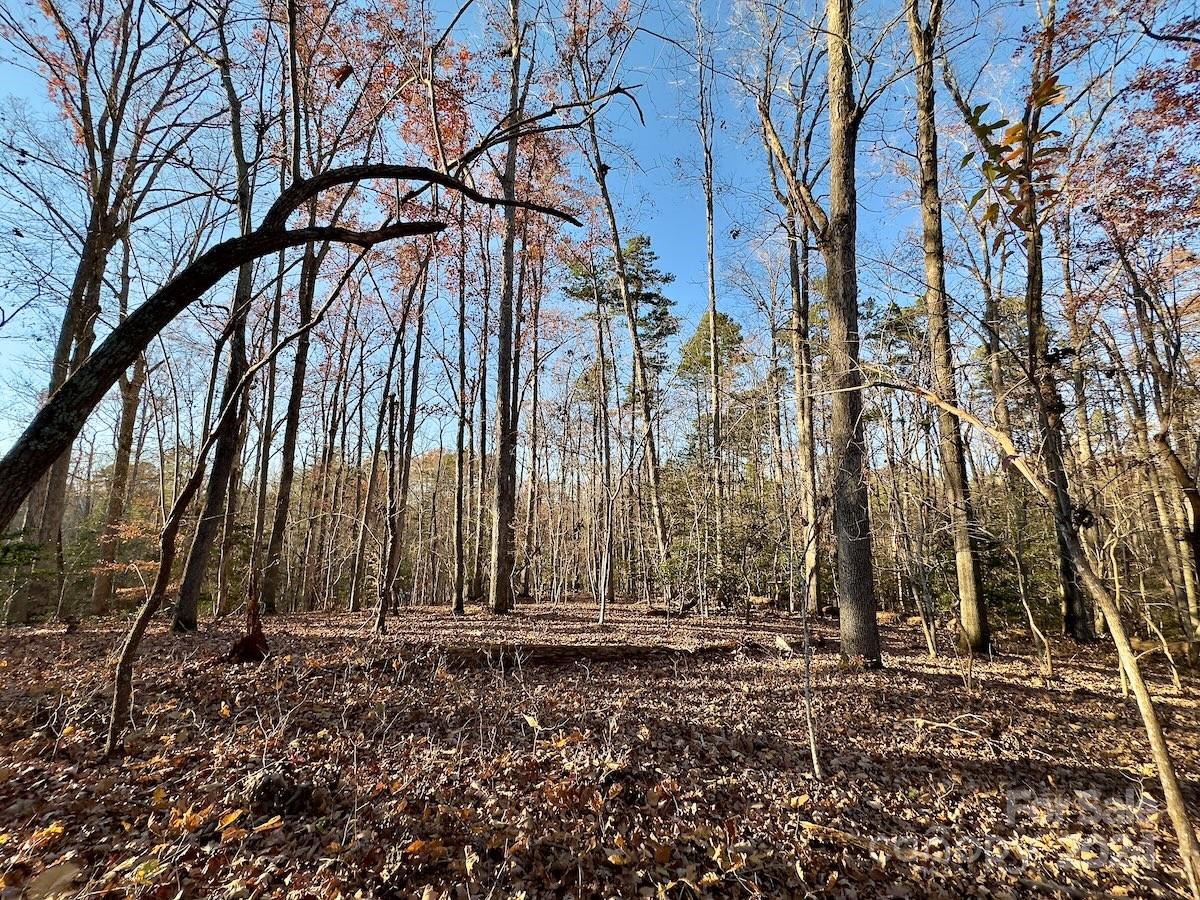 176 Suwanne Road Troy, NC 27371 - Photo 26 of 35 Gallery Image 26