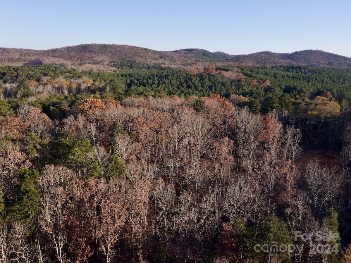 176 Suwanne Road Troy, NC 27371 - Photo 6 of 35 Gallery Image 6