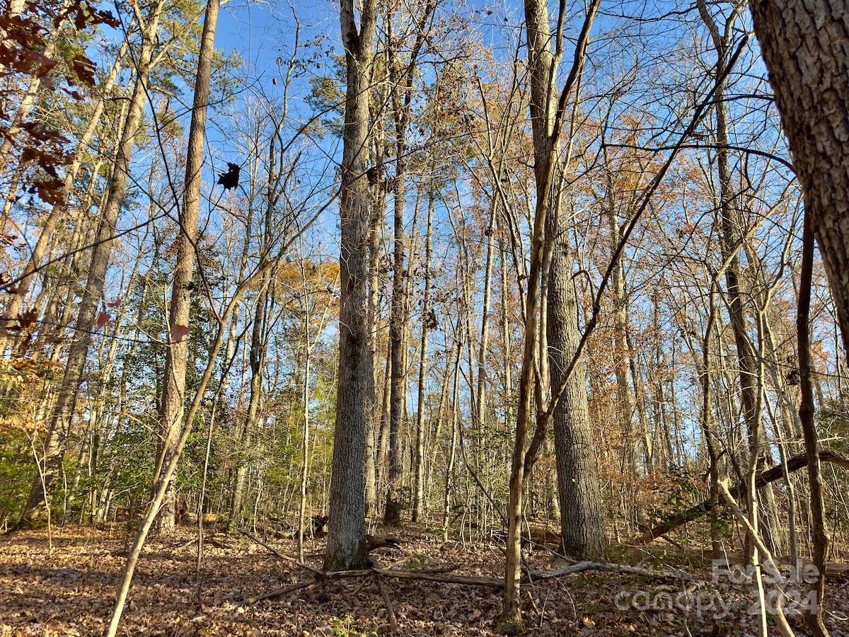 176 Suwanne Road Troy, NC 27371 - Photo 8 of 35 Gallery Image 8