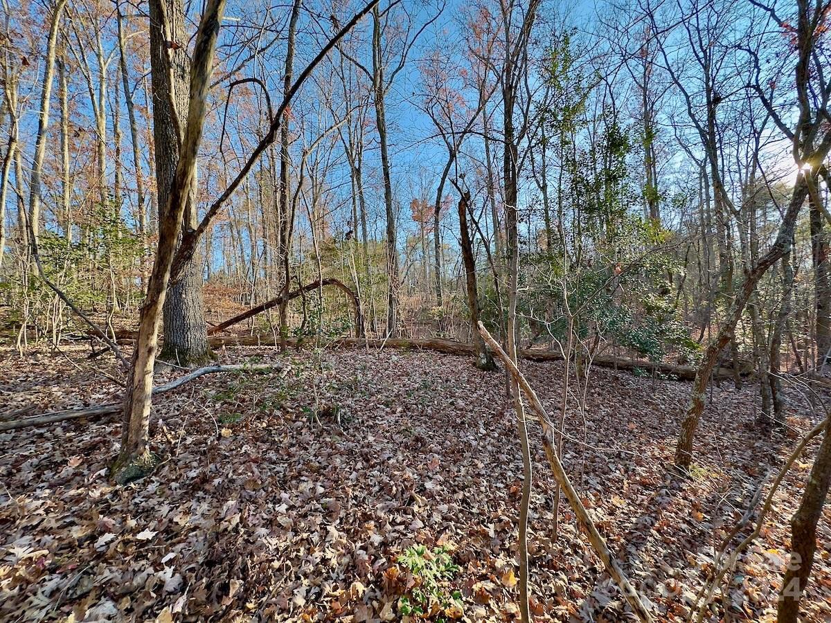 176 Suwanne Road Troy, NC 27371 - Photo 9 of 35 Gallery Image 9