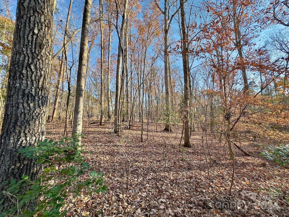 176 Suwanne Road Troy, NC 27371 - Photo 10 of 35 Gallery Image 10