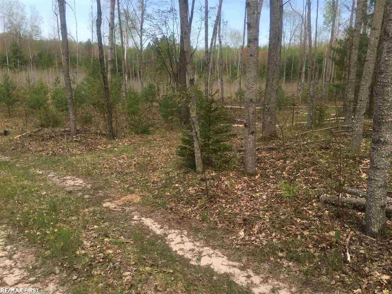 0 McMurphy Road, Unit MCMURPHY Atlanta, MI 49709 - Photo 10 of 12