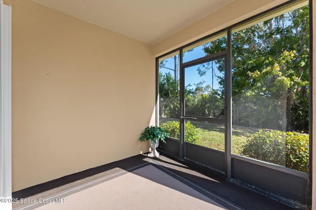 a view of a yard with plants and trees