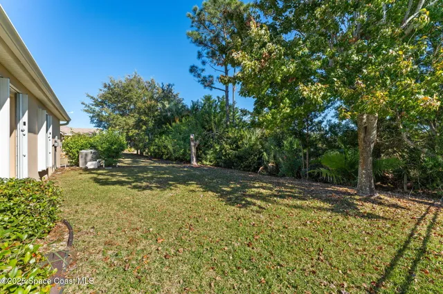 a view of a house with backyard and a tree