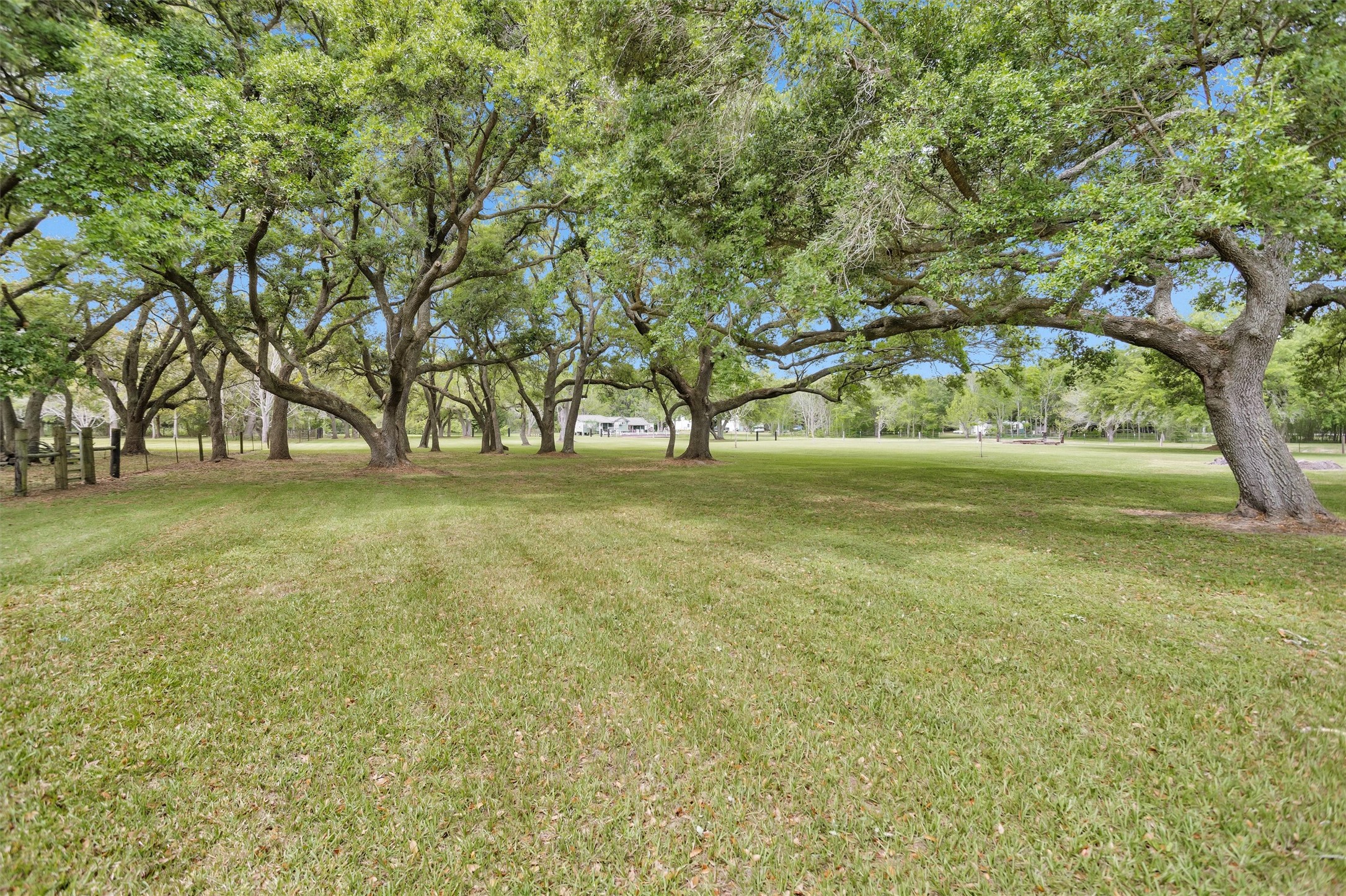 4402 Spears Road Manvel, TX 77578 - Photo 38 of 38 a view of pool and trees in the background