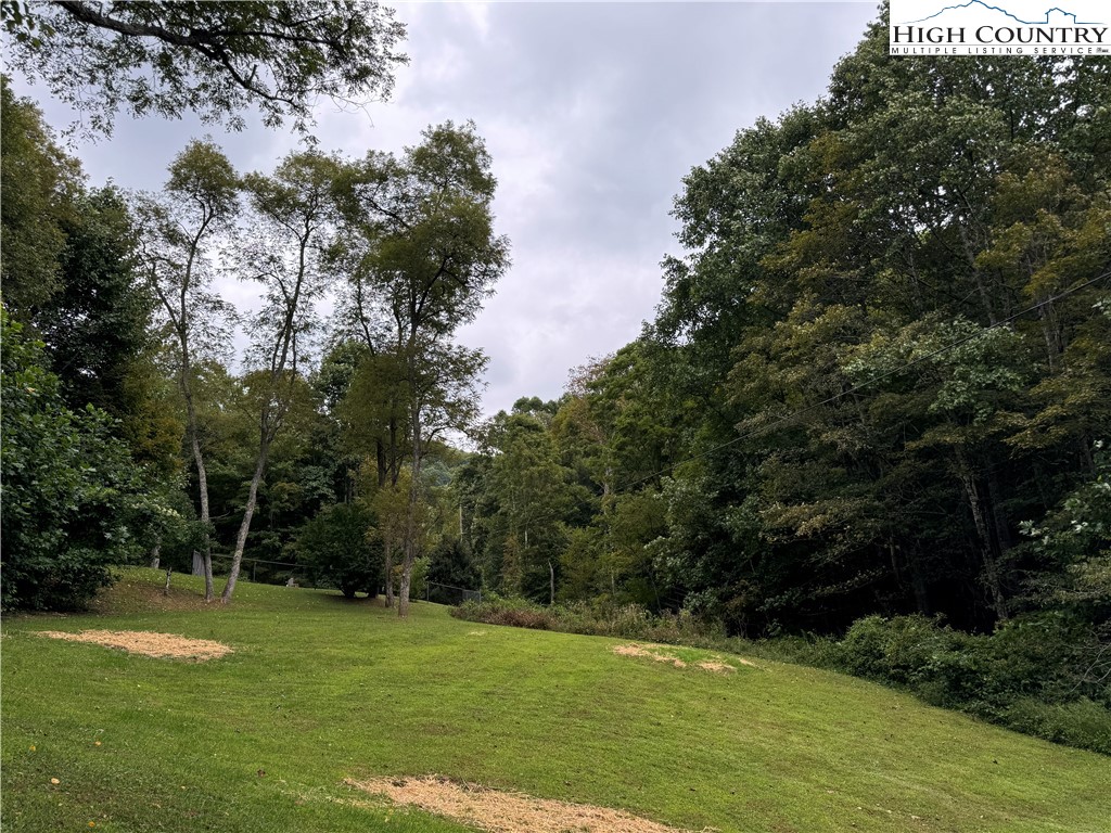 321 Skin Camp Creek Road Todd, NC 28684 - Photo 17 of 29 a view of a grassy field with trees