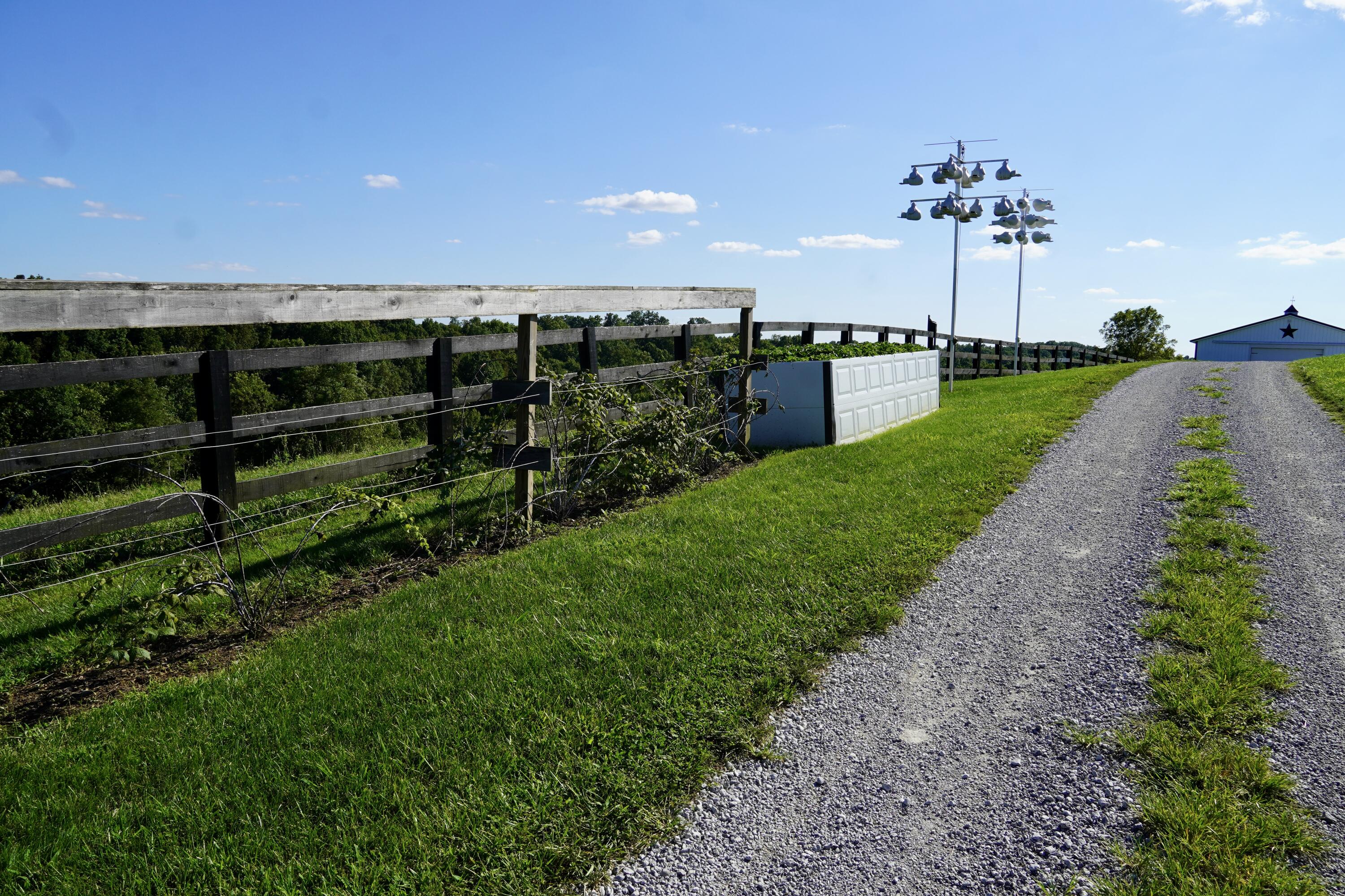 6265 Georgetown Road Owenton, KY 40359 - Photo 90 of 149 OWEN24048
