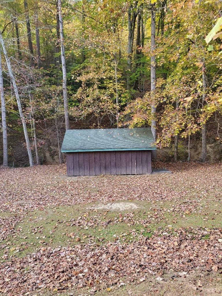 125 Honey Lane Del Rio, TN 37727 - Photo 11 of 31