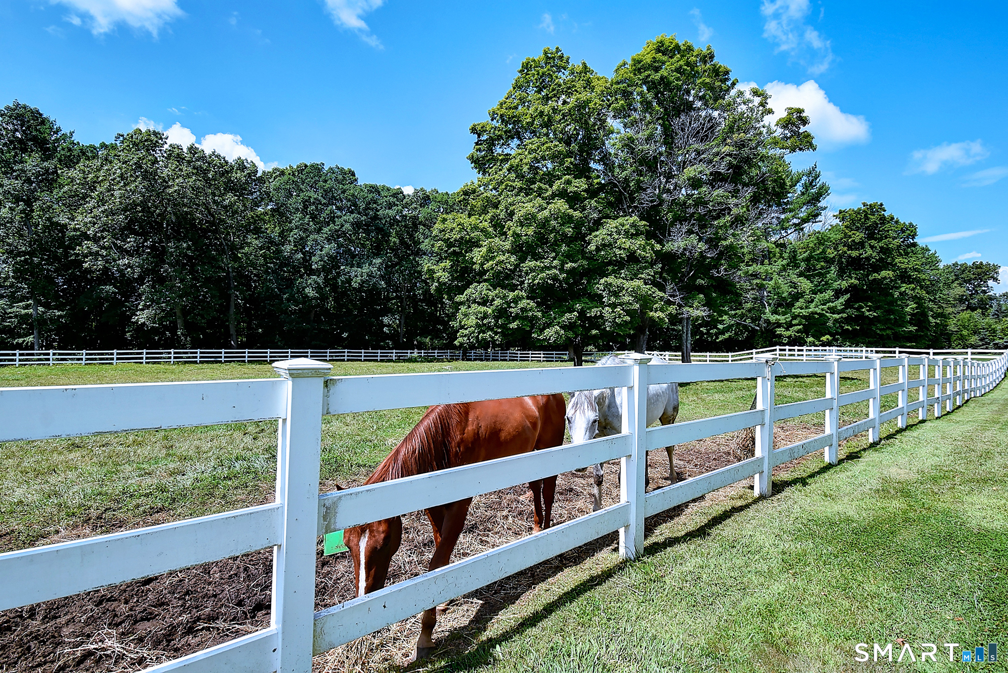 56 Old Farms Road Willington, CT 06279 - Photo 11 of 38 Gallery Image 11