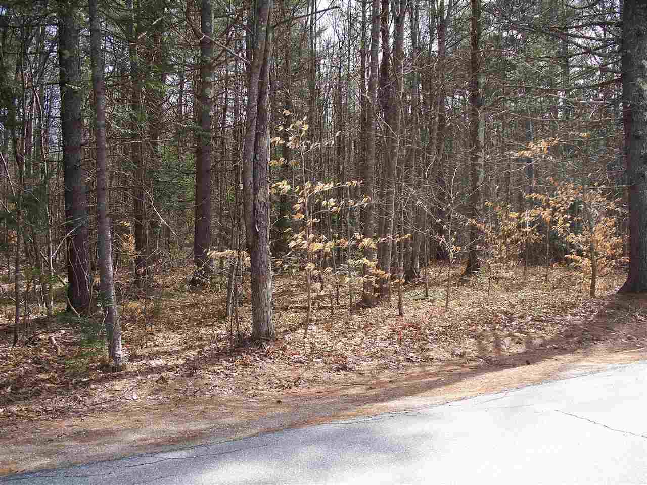 Lot#14 Old Goshen Road Center Conway, NH 03813 - Photo 1 of 5