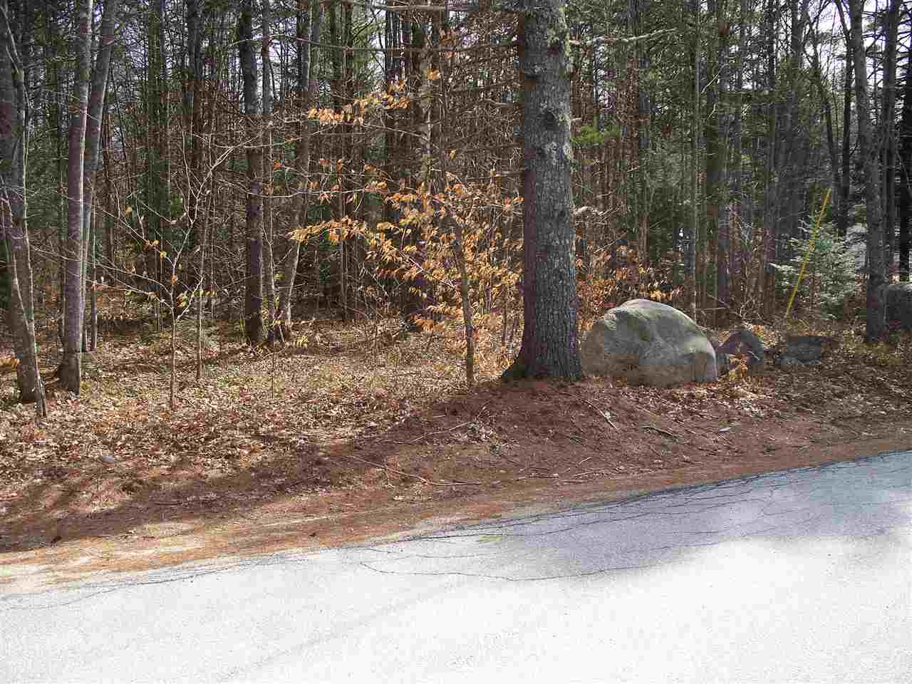 Lot#14 Old Goshen Road Center Conway, NH 03813 - Photo 2 of 5