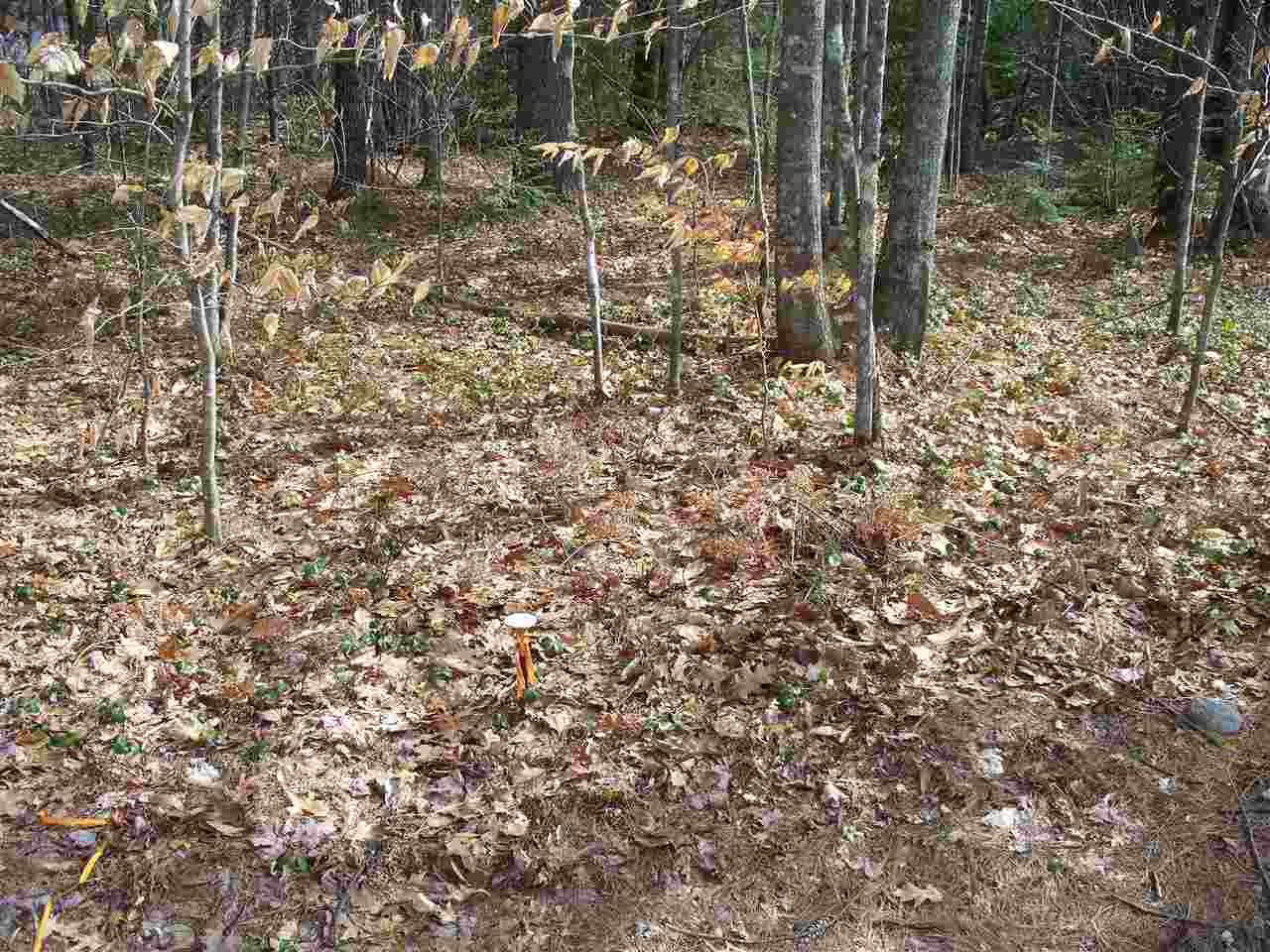Lot#14 Old Goshen Road Center Conway, NH 03813 - Photo 3 of 5