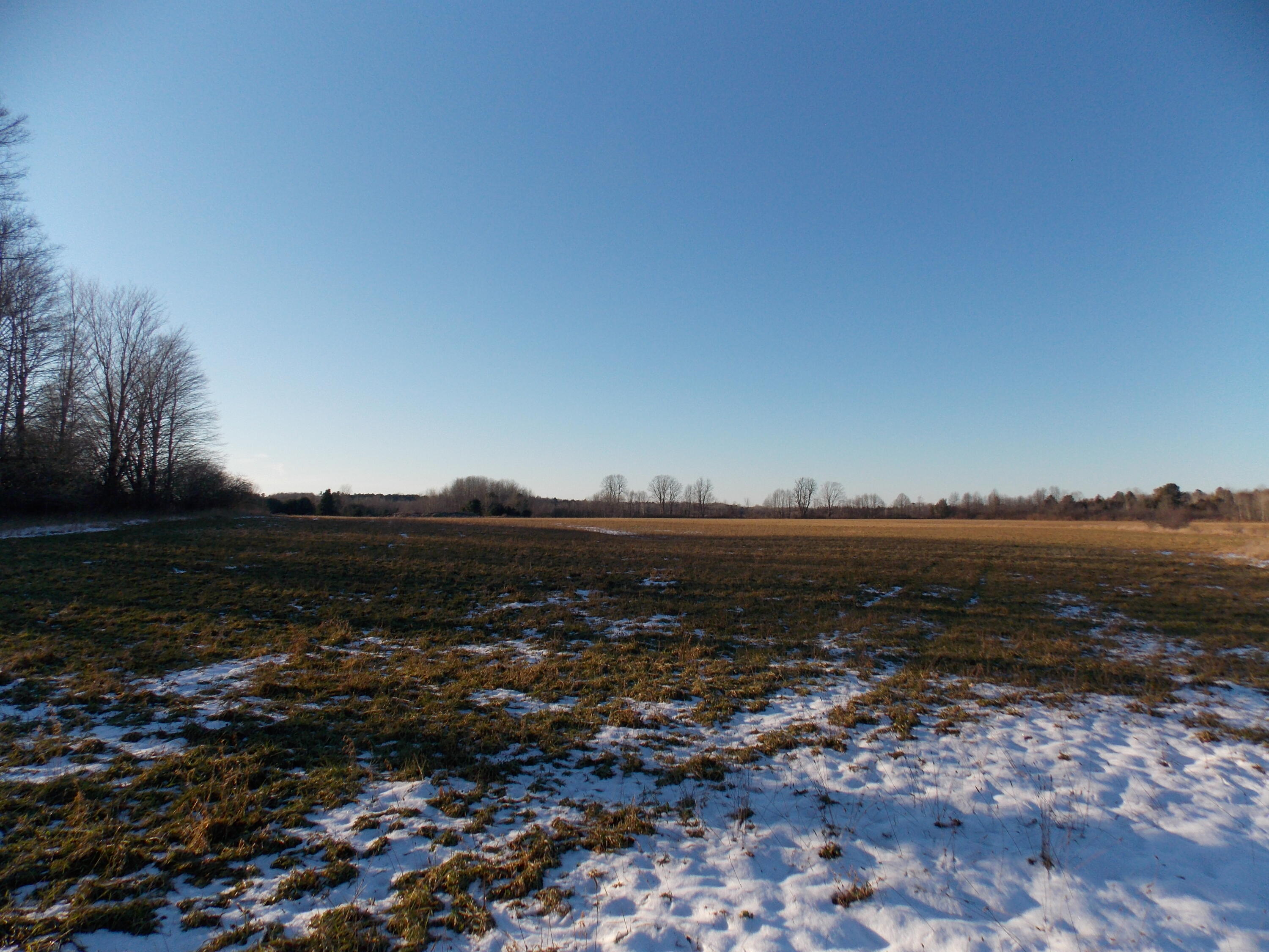 41 Lower Mograin Road Cheboygan, MI 49721 - Photo 5 of 9 Gallery Image 5
