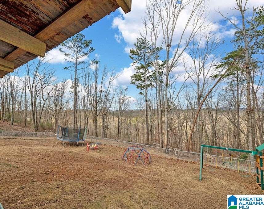 7400 Roper Tunnel Road Trussville, AL 35173 - Photo 23 of 24