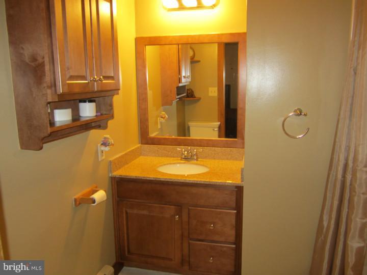 360 Remsterville Road Alloway, NJ 08318 - Photo 17 of 25 Gallery Image 17