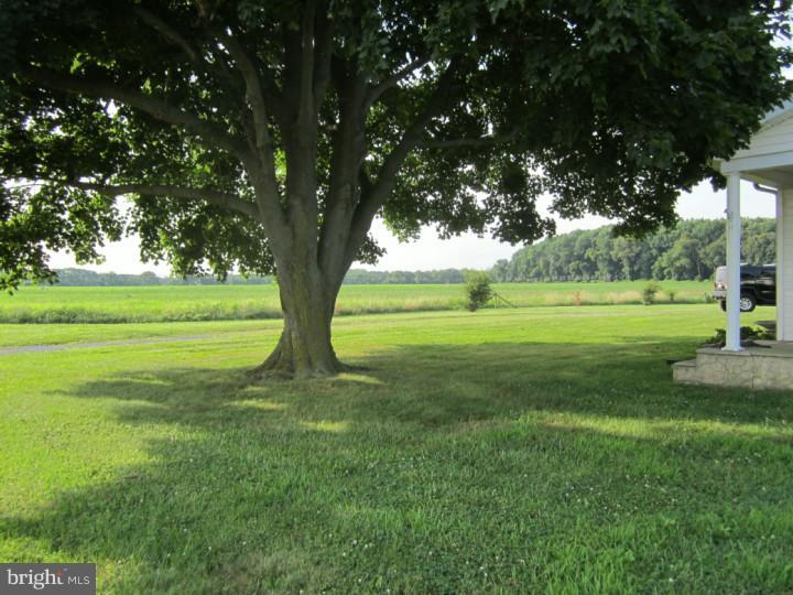 360 Remsterville Road Alloway, NJ 08318 - Photo 19 of 25 Gallery Image 19