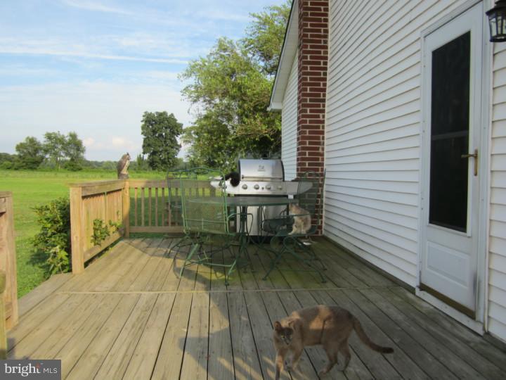 360 Remsterville Road Alloway, NJ 08318 - Photo 20 of 25 Gallery Image 20