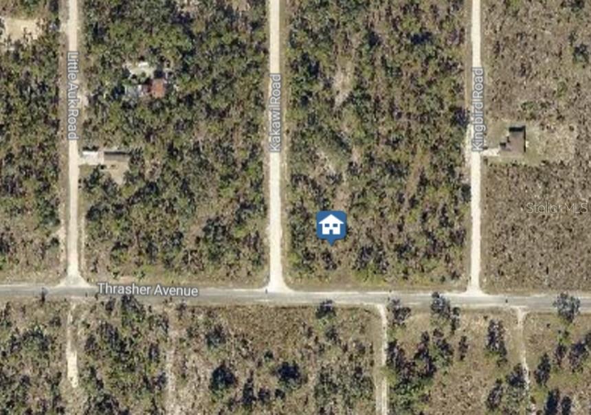16230 Kakawi Road Brooksville, FL 34614 - Photo 3 of 5